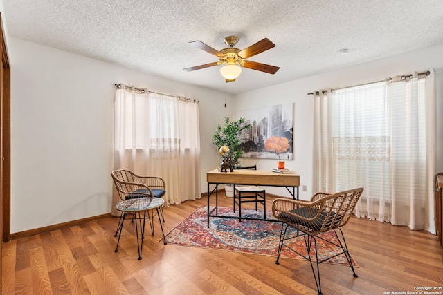 office space featuring light hardwood / wood-style flooring, plenty of natural light, and a textured ceiling