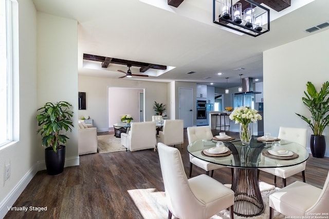 dining room featuring ceiling fan with notable chandelier, dark hardwood / wood-style floors, and beam ceiling