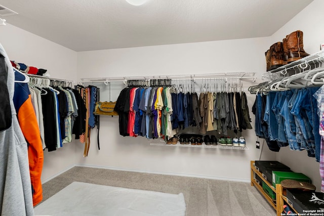 spacious closet with carpet