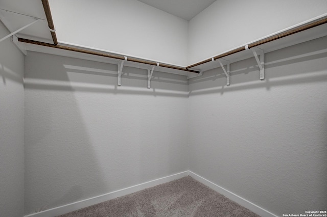 spacious closet with carpet floors