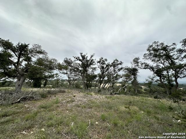 675 Butler Oaks, Bulverde, TX 78163