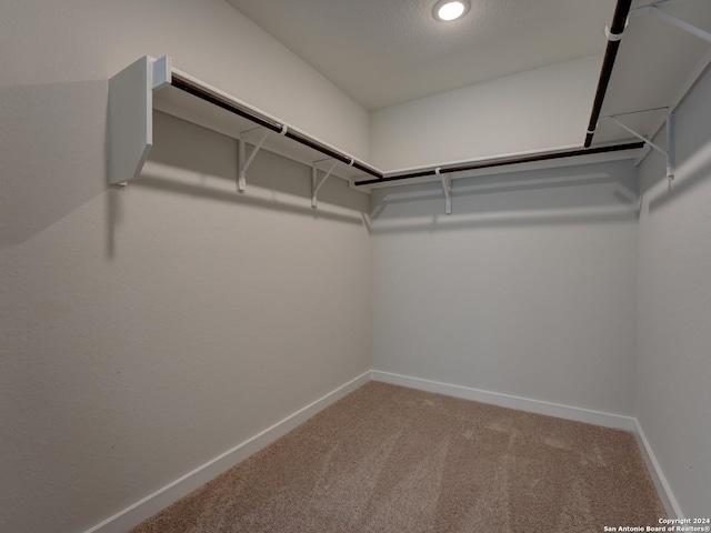 walk in closet featuring carpet