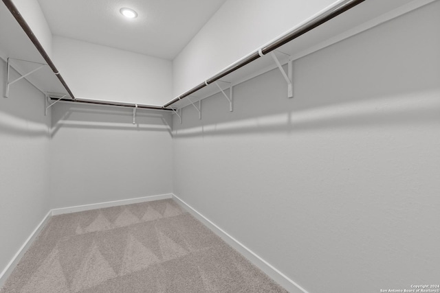 walk in closet with carpet floors