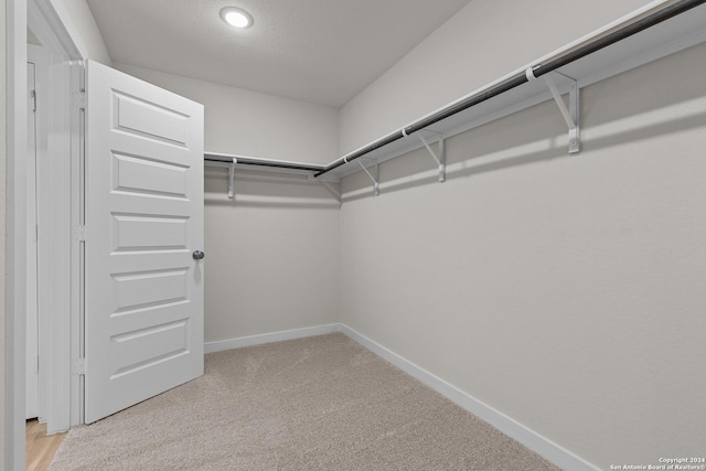 walk in closet featuring light carpet