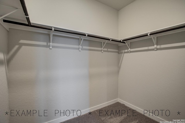 walk in closet featuring carpet flooring