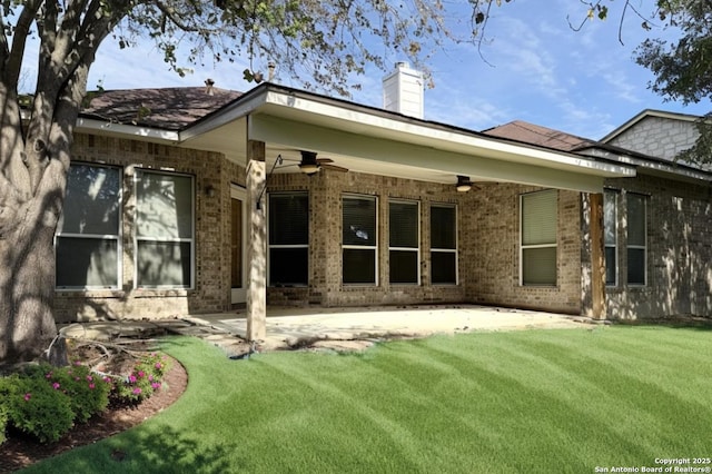 back of house with a lawn, a patio, and ceiling fan