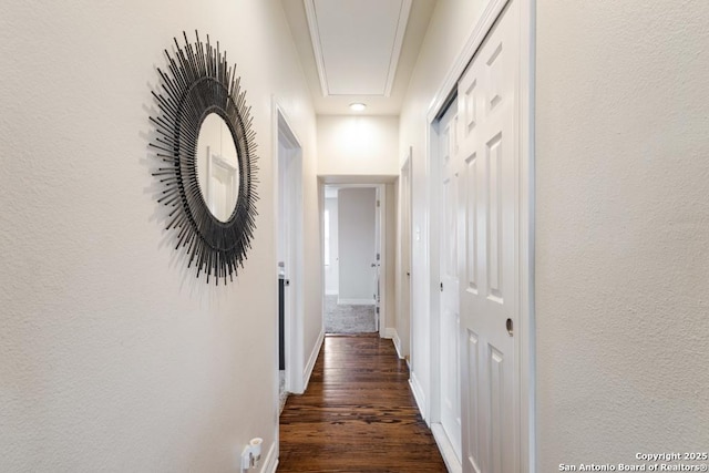 hall featuring dark hardwood / wood-style floors