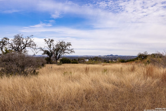 view of local wilderness