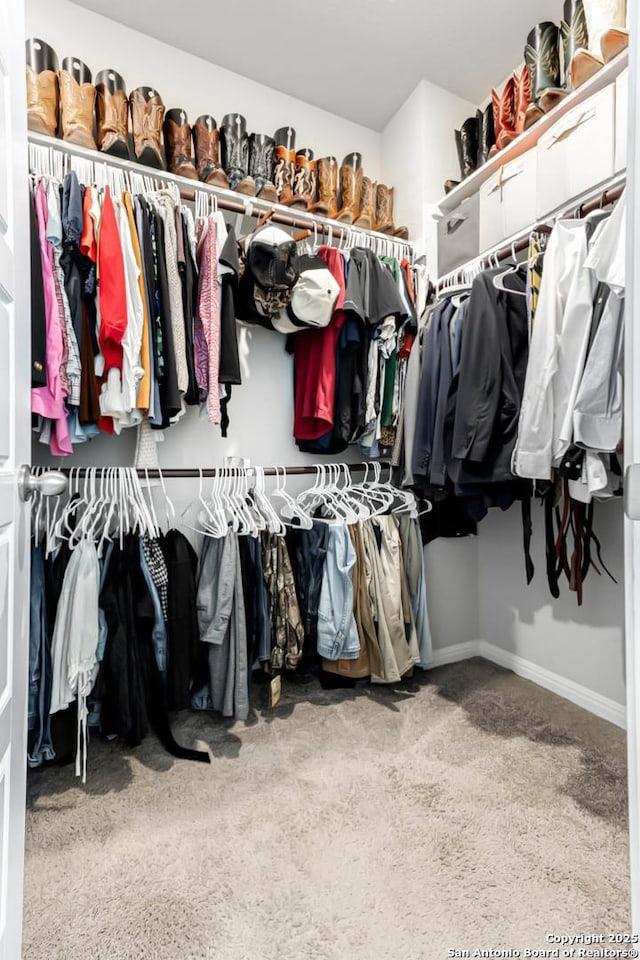 view of spacious closet