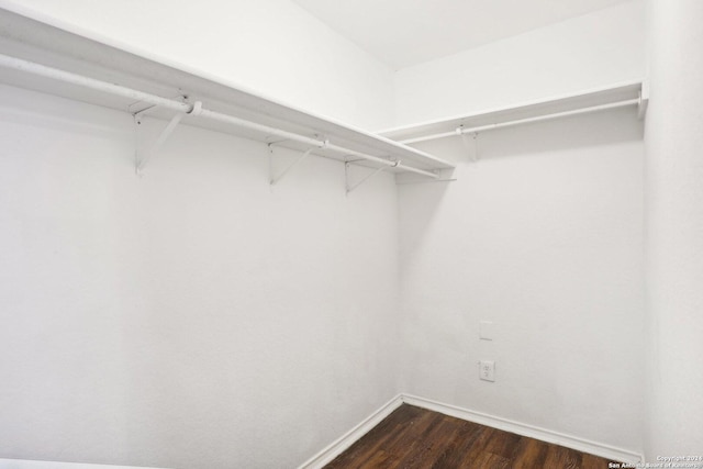 spacious closet featuring dark hardwood / wood-style flooring