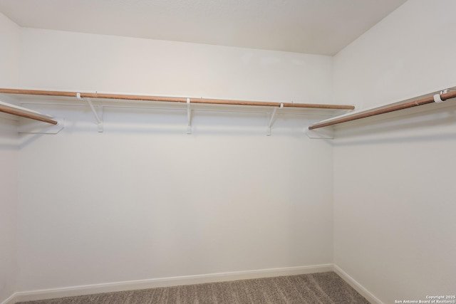 walk in closet with carpet