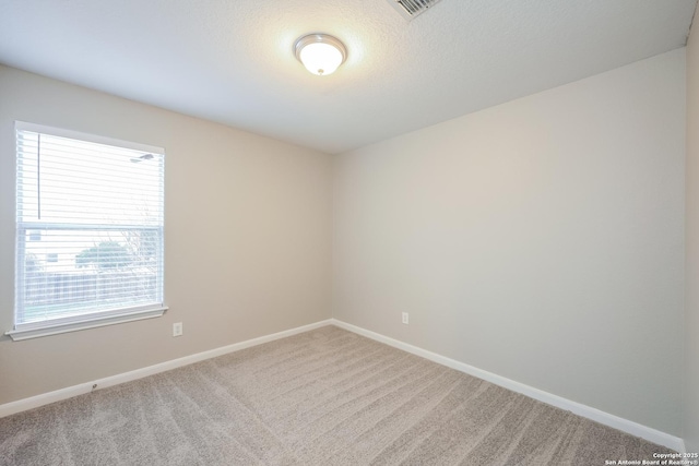 empty room featuring a textured ceiling, plenty of natural light, and carpet floors