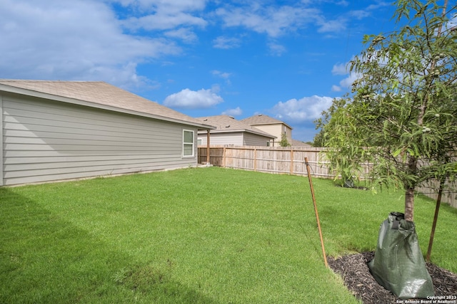 3411 Mccrae Xing, San Antonio, TX 78264 - view of yard