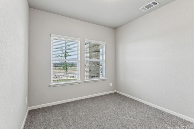 11559 Cottage Pt, San Antonio, TX 78254 - carpeted spare room with a healthy amount of sunlight