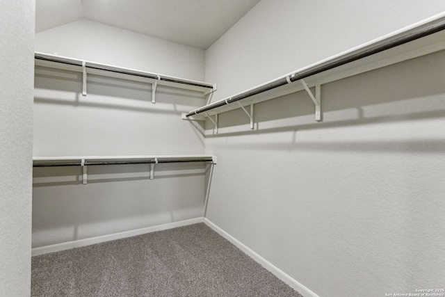 11559 Cottage Pt, San Antonio, TX 78254 - spacious closet featuring carpet