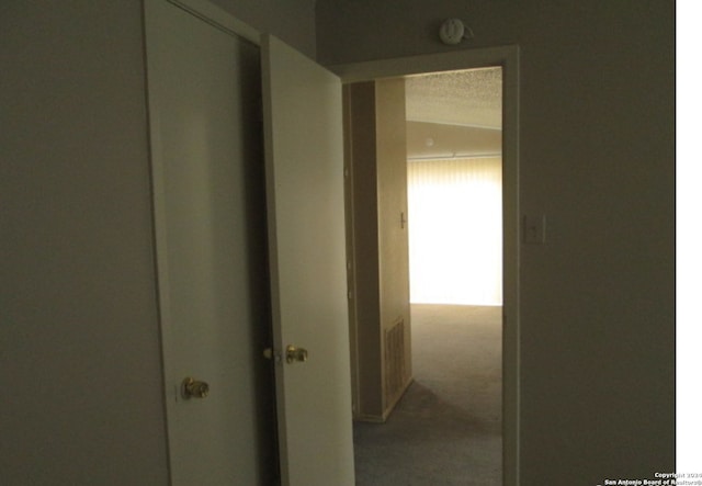 hallway with lofted ceiling