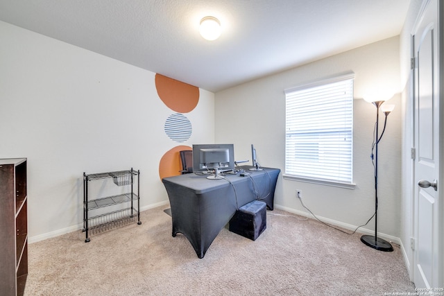 office area featuring light colored carpet