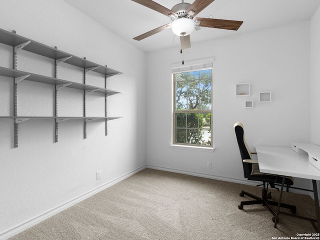 home office with ceiling fan and carpet