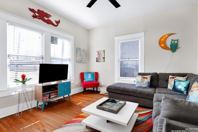 living room featuring ceiling fan and hardwood / wood-style floors