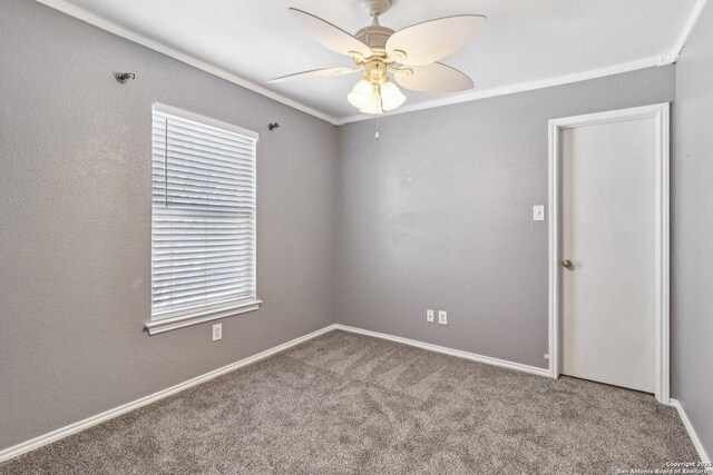 carpeted empty room with ceiling fan and ornamental molding