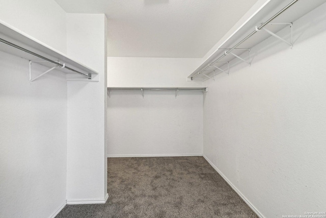 walk in closet featuring dark colored carpet