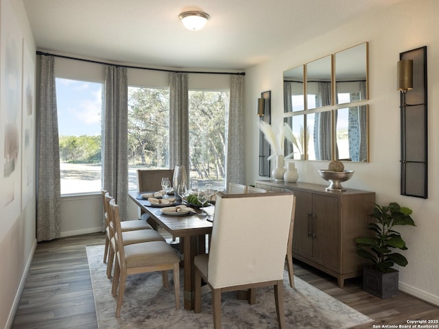 dining area featuring plenty of natural light and hardwood / wood-style floors