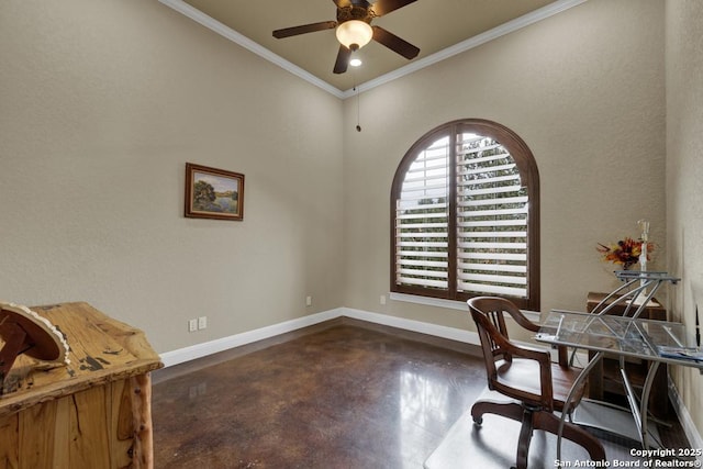 office space featuring ceiling fan and ornamental molding