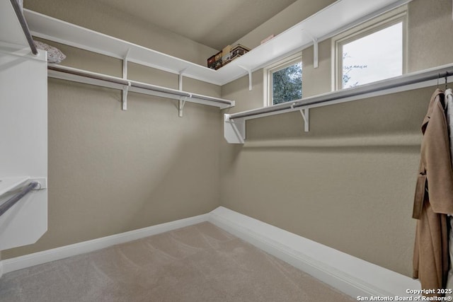 spacious closet with carpet floors