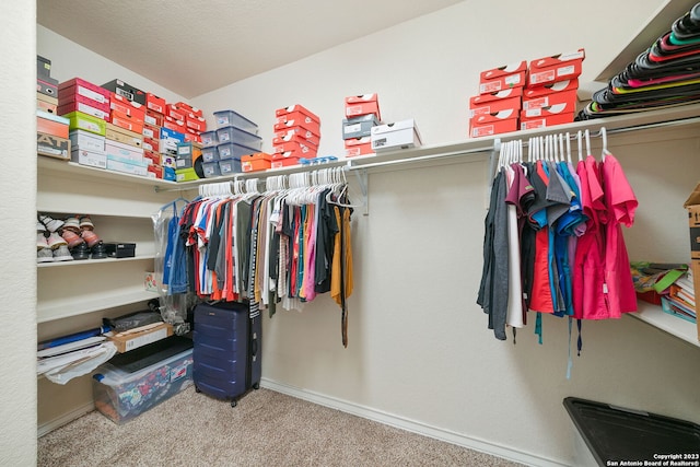 walk in closet featuring carpet flooring