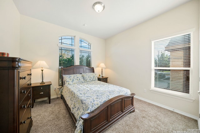 bedroom featuring multiple windows and carpet flooring