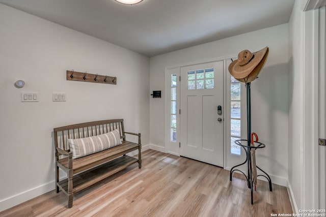 entrance foyer with light hardwood / wood-style flooring