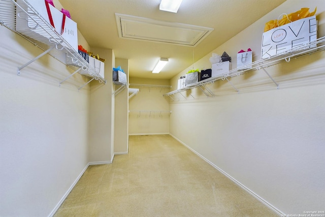 walk in closet with light carpet