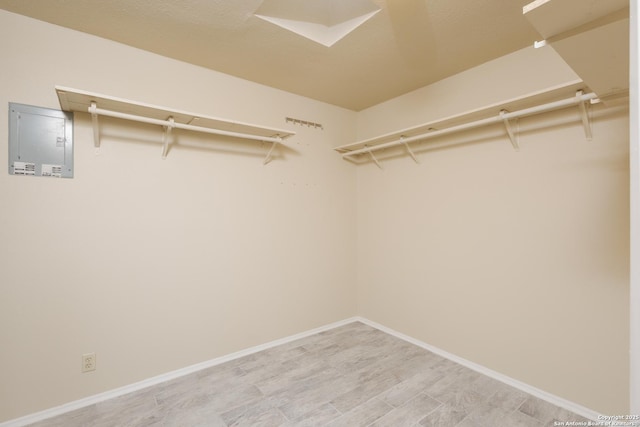 spacious closet with light hardwood / wood-style flooring and electric panel