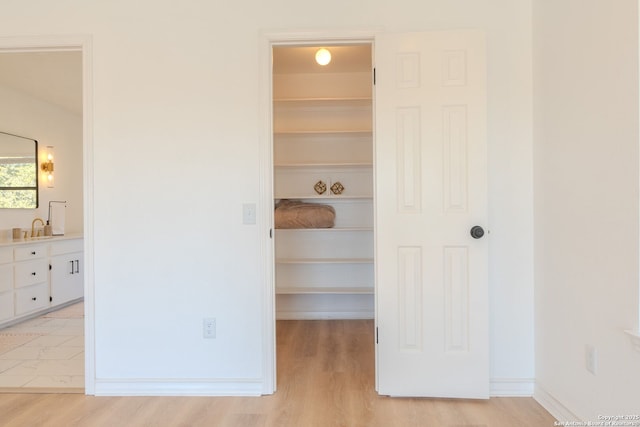 closet featuring sink