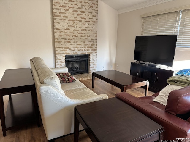 living room featuring hardwood / wood-style flooring, ornamental molding, and a fireplace