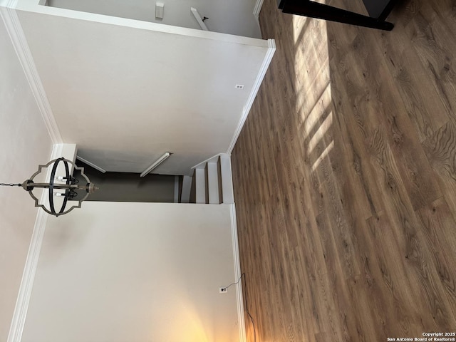 14122 Churchill Ests Unit 204, San Antonio, TX 78248 - details featuring ornamental molding