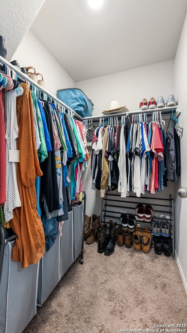 spacious closet featuring carpet