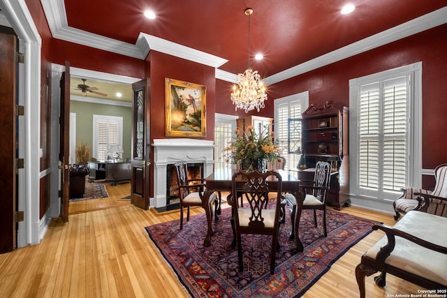 dining room with light wood-type flooring, ceiling fan with notable chandelier, and crown molding