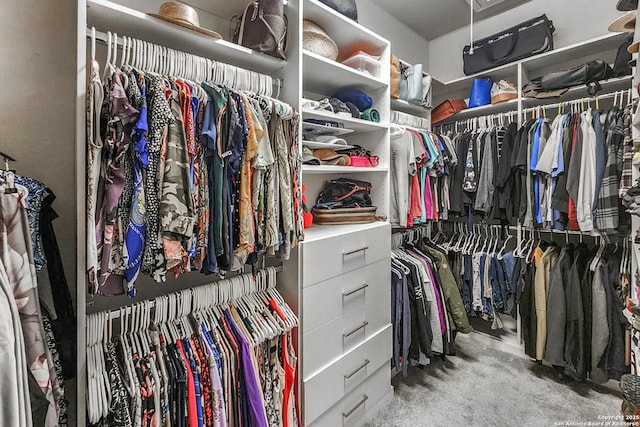 spacious closet with light carpet