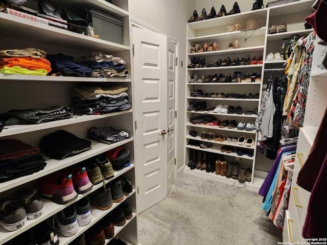 spacious closet with light carpet