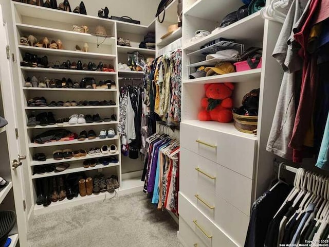 spacious closet with light carpet