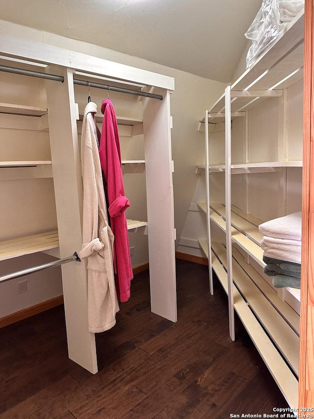 spacious closet featuring dark hardwood / wood-style floors