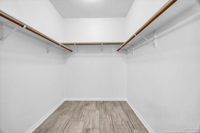 walk in closet featuring hardwood / wood-style flooring