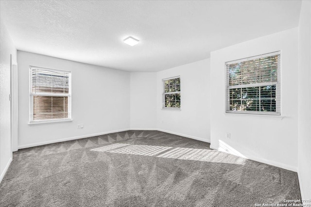 empty room featuring carpet and a textured ceiling