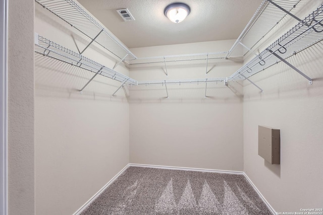 walk in closet featuring carpet and electric panel