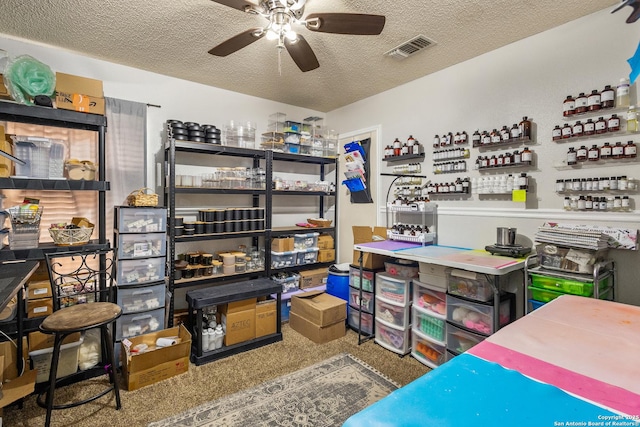 storage area featuring ceiling fan