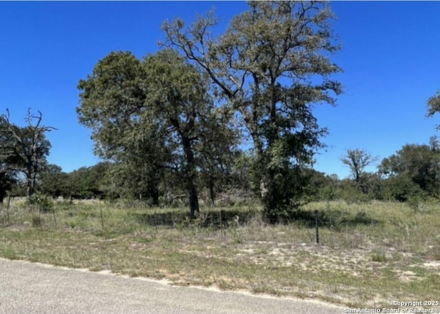 Listing photo 3 for TBD Kothmann, La Vernia TX 78121