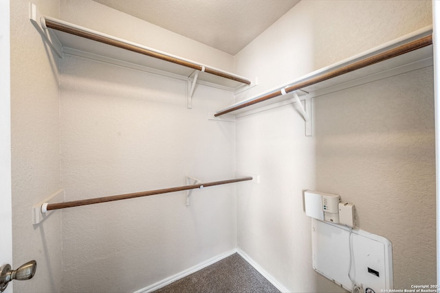 spacious closet with carpet