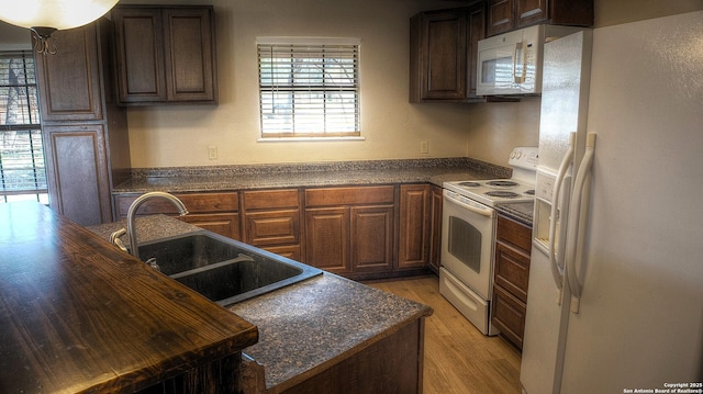 kitchen with white appliances, dark brown cabinets, sink, and light hardwood / wood-style flooring