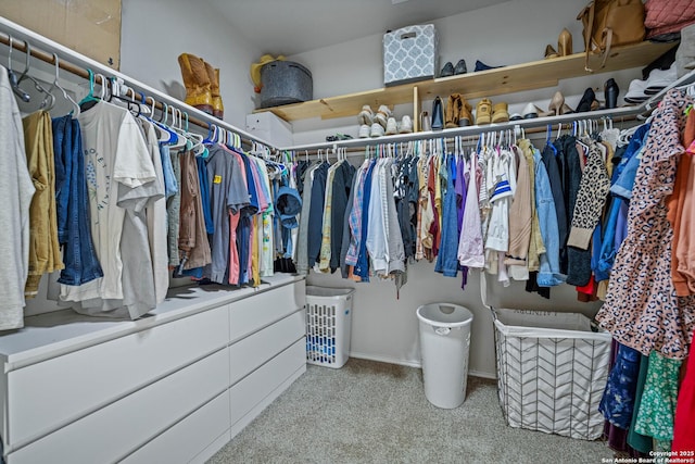 spacious closet featuring light colored carpet